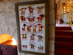 149 MUSEE DU CHAMPIGNON A  SAUMUR 2016 1_000017